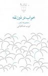 کتاب خواب در ذوزنقه نوشته  ایوب صادقیانی